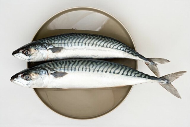FIN FISK: Makrell er en super omega 3-kilde. Foto: Colourbox FIN FISK: Makrell er en super omega 3-kilde. Foto: Colourbox